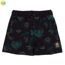 Load image into Gallery viewer, Nano Dino Boardshorts