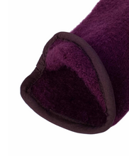Load image into Gallery viewer, Kessler Sasha Wool Glove
