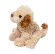 Load image into Gallery viewer, Biscuit Cavapoo