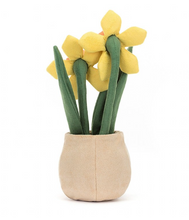 Load image into Gallery viewer, Amuseable Daffodil Pot
