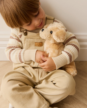 Load image into Gallery viewer, Milo the Retriever