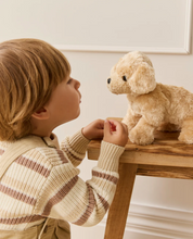 Load image into Gallery viewer, Milo the Retriever