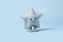 Load image into Gallery viewer, Amuseables Silver Star