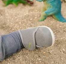 Load image into Gallery viewer, Stonz Baby Cruiser Dune