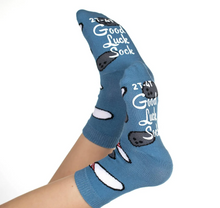 Load image into Gallery viewer, Bowling, Hockey and Soccer Socks 3-Pack