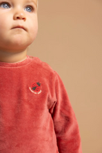Load image into Gallery viewer, Noppies Velour Top and Jogger Dusty Cedar