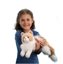 Load image into Gallery viewer, Kiki Ragdoll Cat