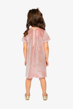 Load image into Gallery viewer, Deux Par Deux A-Line Dress Ash Rose