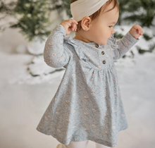 Load image into Gallery viewer, Petit Lem Frost Flower Print Dress and Legging