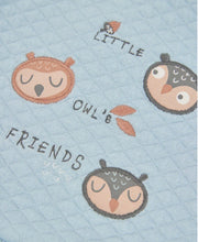 Load image into Gallery viewer, Boboli Little Owls Friends Quilted Top and Pant
