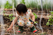 Load image into Gallery viewer, Little Green Radicals Flora Frill Summer Playsuit

