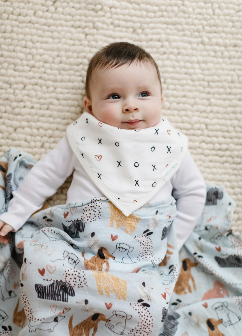 Lollipop blankets online