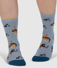 Load image into Gallery viewer, Thought Sasha Cat Organic Cotton 4 Pack Sock Box
