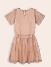 Load image into Gallery viewer, Nono Merle Dress Light Gold
