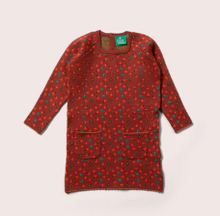 Load image into Gallery viewer, Little Green Radicals Hazelnut Flowers Sweater Dress
