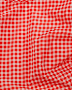 BAGGU Red Gingham Reusable Bag