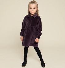 Load image into Gallery viewer, Miles the Label Cord Collared Dress Plum
