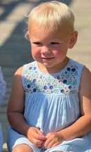 Load image into Gallery viewer, Poppet and Fox Embroidered Sleeveless Summer Blue Dress
