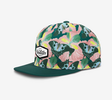 Load image into Gallery viewer, Headster Sunrise Wings Snapback Smart Pink
