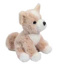 Load image into Gallery viewer, Pookie Mini Pomsky
