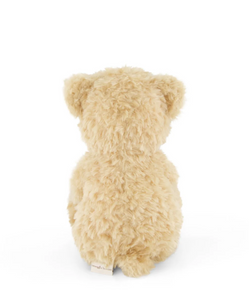 Arthur the Bear