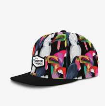 Load image into Gallery viewer, Headster Oasis Birds Snapback Black
