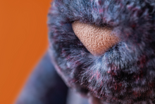 Load image into Gallery viewer, Hopscone Luxe Bunny
