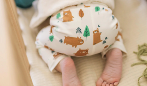 Souris Mini Forest Theme Top and Grow Pant