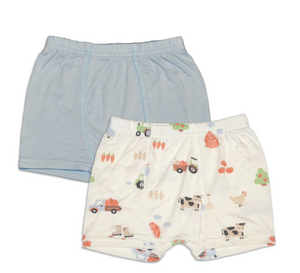 Silkberry Boys 2pack Bamboo Boxer Briefs Blue Cloud/Pumpkin Farm Mix