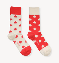 Load image into Gallery viewer, Pokoloko Oh Canada Pima Socks 2 Pack
