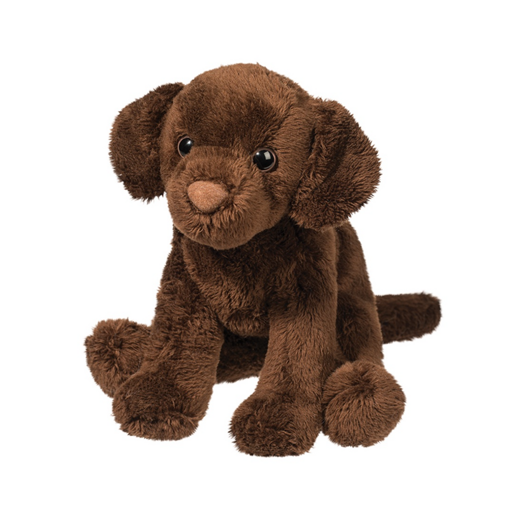Finn Chocolate Lab