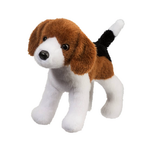 Bob Beagle
