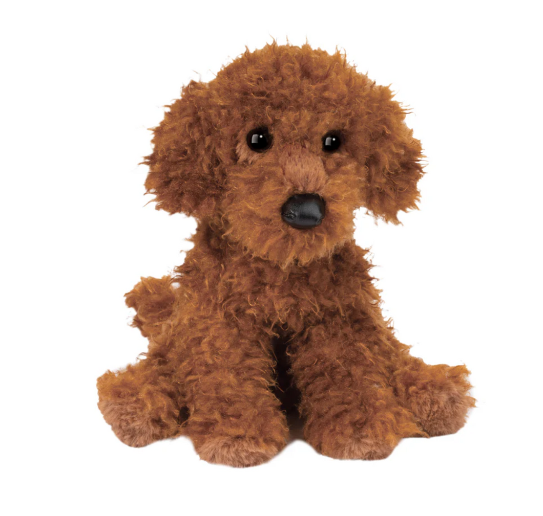 Ginger Miniature Poodle
