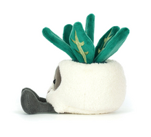 Load image into Gallery viewer, Amuseables Skull Planter
