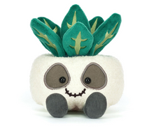 Load image into Gallery viewer, Amuseables Skull Planter
