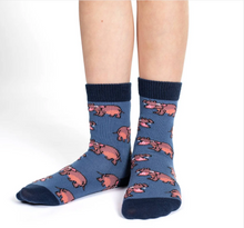 Load image into Gallery viewer, Hippopotamus, Crocodile and Dinosaur Socks 3-Pack
