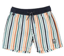 Load image into Gallery viewer, Nano Stripe Boardshorts Navy
