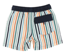 Load image into Gallery viewer, Nano Stripe Boardshorts Navy
