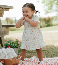 Load image into Gallery viewer, Petit Lem Strawberry Gingham Dress and Bloomer
