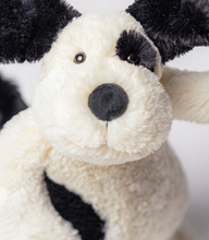 Load image into Gallery viewer, Bashful Black and Cream Puppy
