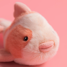Load image into Gallery viewer, Fancy Carp
