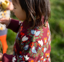Load image into Gallery viewer, Little Green Radicals Folk Birds Pullover Sweater

