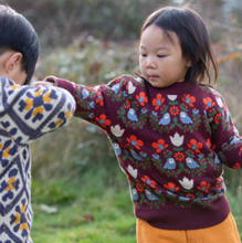 Load image into Gallery viewer, Little Green Radicals Folk Birds Pullover Sweater
