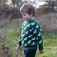 Load image into Gallery viewer, Little Green Radicals Olive Ducks Pullover Sweater
