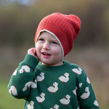 Load image into Gallery viewer, Little Green Radicals Olive Ducks Pullover Sweater

