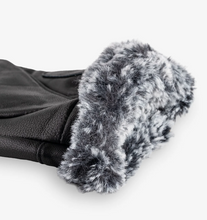 Load image into Gallery viewer, AuClair Rosalie Gloves
