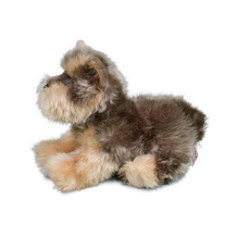 Load image into Gallery viewer, Yettie Yorkie
