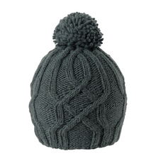 Load image into Gallery viewer, Ambler Tracks Pom Cable Beanie
