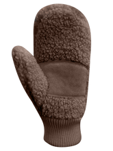 Load image into Gallery viewer, AuClair Autumn Mitts Brown
