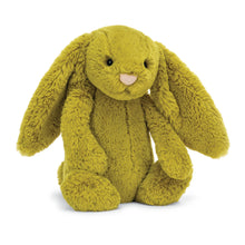 Load image into Gallery viewer, Bashful Zingy Bunny
